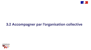 15_ACCOMPAGNER-par l'organisation collective