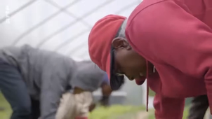 Y a t il renaissance de Detroit ?.mp4