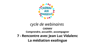webinaire n° 7 Rencontre avec JL Vidalenc : La médiation exolingue