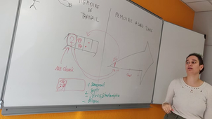 Apprentissage et cerveau P2