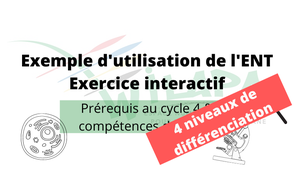 Aide résolution exercice 