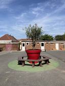 Végétaliser la cour de récréation