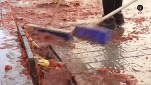 CO - Vuelve famosa batalla de tomates (El Espectador, 31-09-2022).mp4