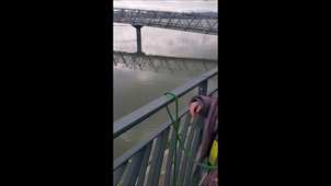 Sac de noeuds 4 _ Antoine de St Exupéry GrandCamp_CE2_Audrey Cornier