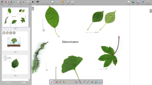 4 - OpenBoard - Le chemin fer