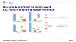 Une unité biochimique du monde du vivant