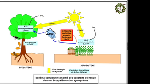 Eco-Agrosystèmes