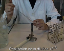 Tutoriel vidéo - Réalisation de dilutions décimales en microbiologie