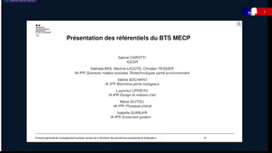 IIIA Référentiel des activités professionnelles BTS MECP