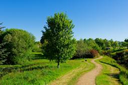 LeDéclinDesOiseauxAxelMathéoKeryann6B.wav