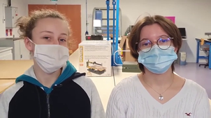 Spécialité  Numérique et Sciences Informatiques