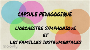 6e Orchestre 4 Familles instrumentales.mp4