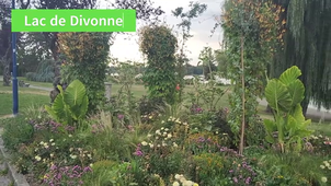 Journée Intégration - version finale.mp4