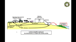 Raisonner l'utilisation des engrais