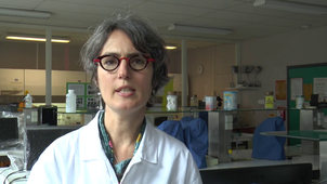 Présentation BTS Bioanalyses et contrôles - Lycée Jean Rostand - Caen