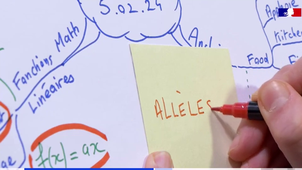 Carte mentale du jour_Extrait.mp4