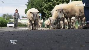 Paris et son aire urbaine une région capitale.mp4