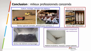 Mycètes 4 (Conclusion et bibiographie)