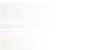 Months & Seasons.mp4