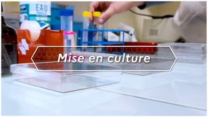 Expérience ChlorISS - Mise en culture