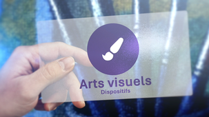 Domaine EAC : dispositifs arts visuels