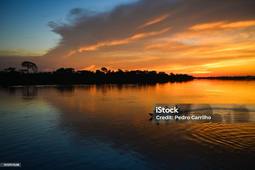 Journée de l'environnement 5 amazonie.mp3