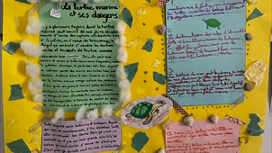 Tara océan - Escale aux Iles Salomon pour les 6mes 1 du Lycée Chateaubriand de Rome