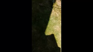 lampe exterieure.mp4