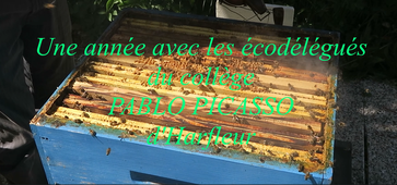 Participation au Prix de l'action éco déléguée de l'année 2025-2026 (Collège PICASSO - HARFLEUR)