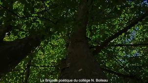 La Brigade Poétique 2025