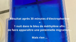 St Joseph BRUZ G. Archaux R lechelard A. Hugot.mp4