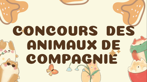 Concours des animaux de compagnie.mp4