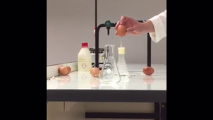 Lycée Tocqueville-Section Européenne Anglais-DNL Physics-Hydrogen egg explosion