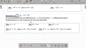 Cours I Limite infinie en l'infini.mp4