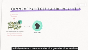 2026-04-18_18-51-50.mp4