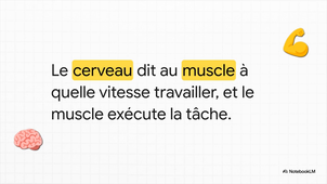 Les_rouages_du_ventilateur.mp4