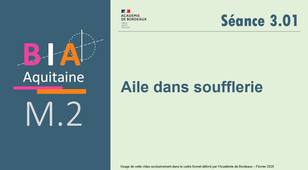 M2-S3-1-Aile dans soufflerie.avi
