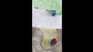 Montage vidéo We're going on a bear hunt.mp4