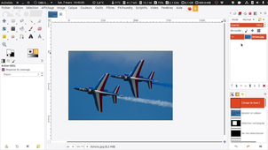 Garder des éléments colorés dans une image en niveau de gris avec GIMP