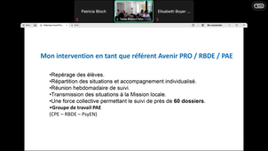 Webinaire Avenir pro+