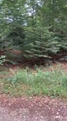 Sortie de fin d'année.mp4