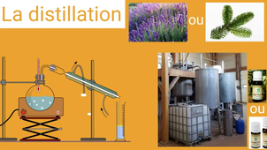 La distillation