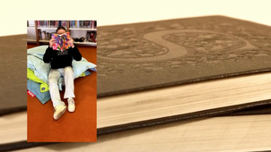 5DE, Collège Albert Camus, Torigny les villes