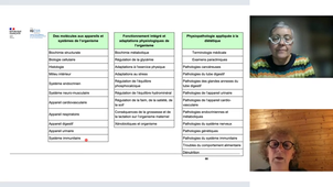 Présentation des BTS rénovés 