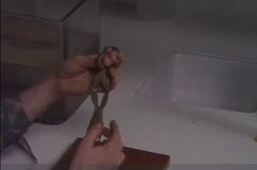 Étude expérimentale des réflexes