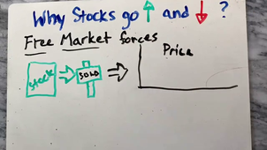 Stock mkt Part 1 - what are stocks n shareholders.mp4