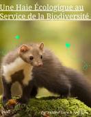 une haie écologique au service de la biodiversité