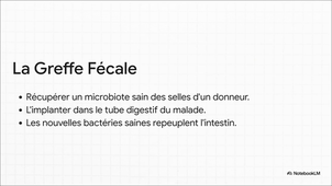 Le_Gardien_Invisible.mp4