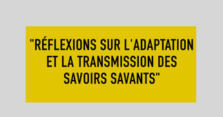 Réflexions sur l'adaptation et la transmission des savoirs savants