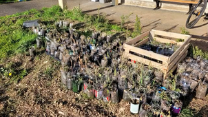 Diaporama pour forum Déclic climat